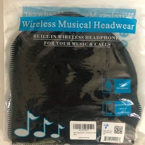 Winter hat with built in headphones